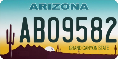AZ license plate ABO9582