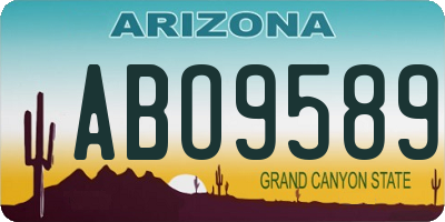 AZ license plate ABO9589