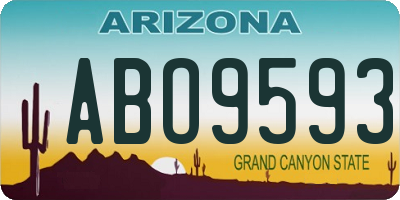 AZ license plate ABO9593