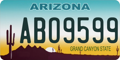 AZ license plate ABO9599