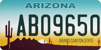 AZ license plate ABO9650