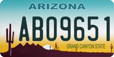 AZ license plate ABO9651