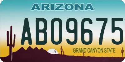 AZ license plate ABO9675