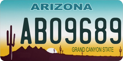 AZ license plate ABO9689