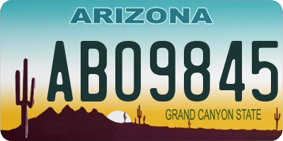 AZ license plate ABO9845