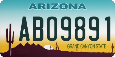 AZ license plate ABO9891