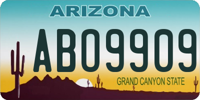AZ license plate ABO9909
