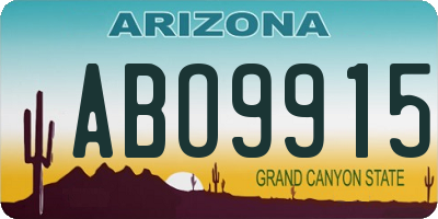 AZ license plate ABO9915