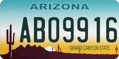 AZ license plate ABO9916