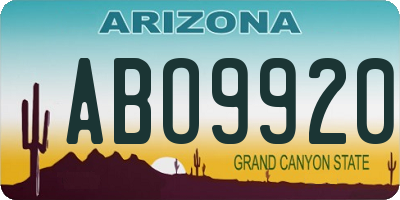 AZ license plate ABO9920