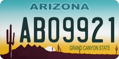 AZ license plate ABO9921