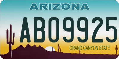 AZ license plate ABO9925