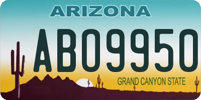 AZ license plate ABO9950