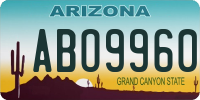 AZ license plate ABO9960
