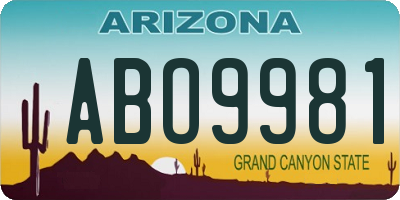 AZ license plate ABO9981