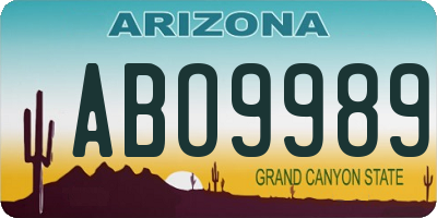 AZ license plate ABO9989