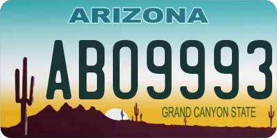 AZ license plate ABO9993