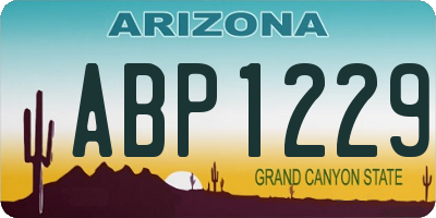AZ license plate ABP1229