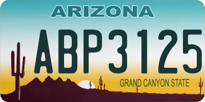 AZ license plate ABP3125