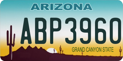 AZ license plate ABP3960