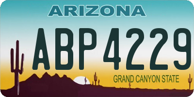 AZ license plate ABP4229