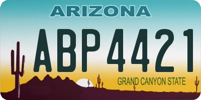 AZ license plate ABP4421