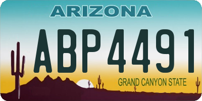 AZ license plate ABP4491
