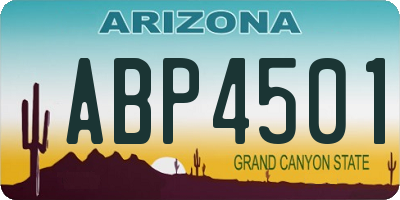 AZ license plate ABP4501
