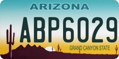 AZ license plate ABP6029