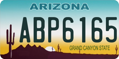 AZ license plate ABP6165