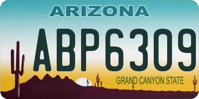 AZ license plate ABP6309