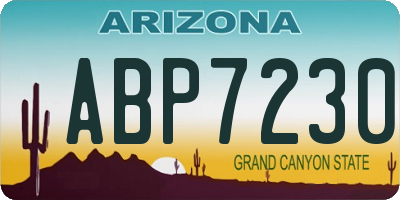 AZ license plate ABP7230