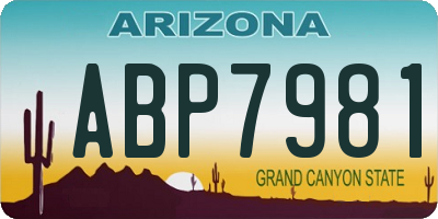 AZ license plate ABP7981