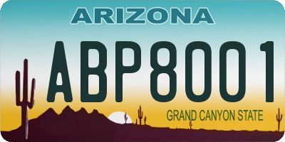 AZ license plate ABP8001