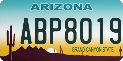 AZ license plate ABP8019