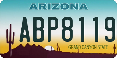 AZ license plate ABP8119