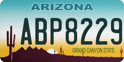 AZ license plate ABP8229