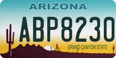 AZ license plate ABP8230