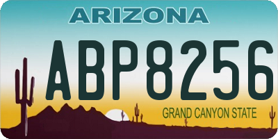AZ license plate ABP8256