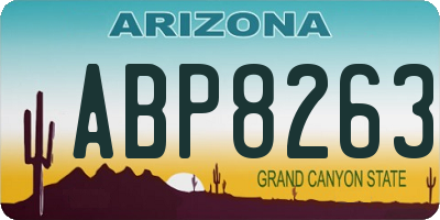 AZ license plate ABP8263