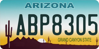 AZ license plate ABP8305