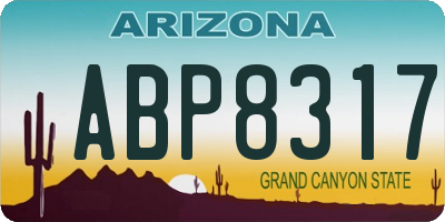 AZ license plate ABP8317