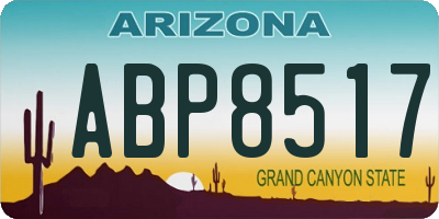 AZ license plate ABP8517
