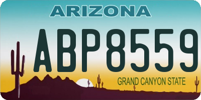 AZ license plate ABP8559