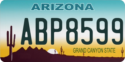 AZ license plate ABP8599