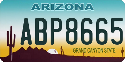 AZ license plate ABP8665