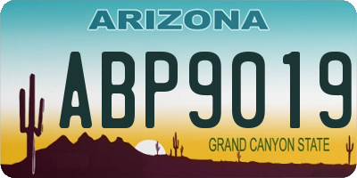 AZ license plate ABP9019