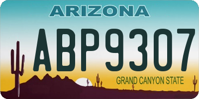 AZ license plate ABP9307