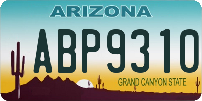 AZ license plate ABP9310