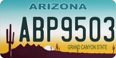 AZ license plate ABP9503